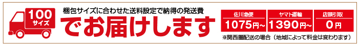 100サイズ